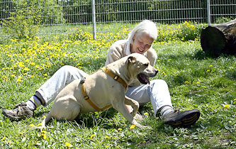 Bed&uuml;rfnisse der Hunde